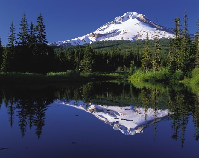 Rừng quốc gia ở núi Hood phản chiếu trong hồ Gương – Ảnh: wiki